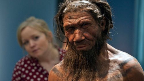 imported-skynews-neanderthal-natural-history-museum_7377847.jpg