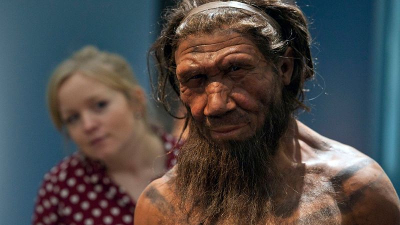 imported-skynews-neanderthal-natural-history-museum_7377847.jpg