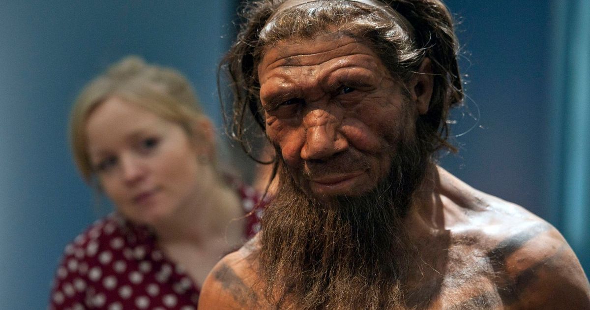 imported-skynews-neanderthal-natural-history-museum_7377847.jpg