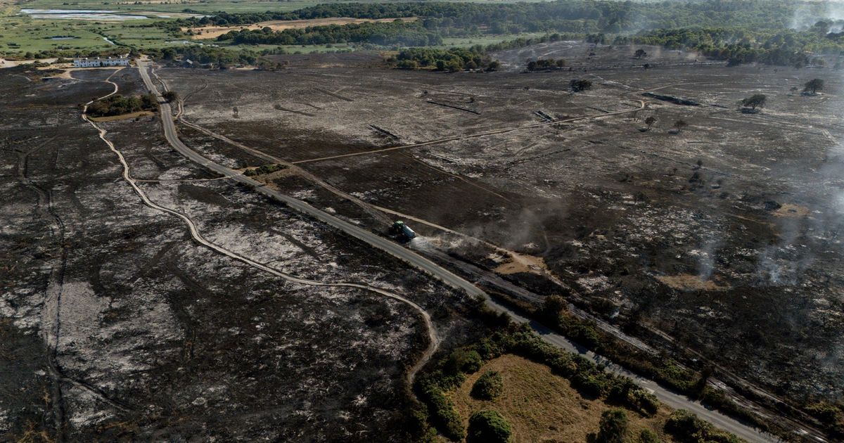 imported-skynews-fire-dunwich-leiston_7311477.jpg