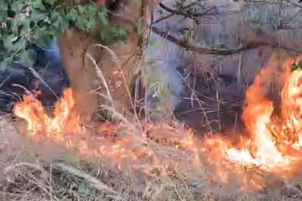 imported-1_Moor-Farm-firejfif.jpg