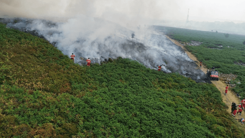 imported-skynews-natural-resources-wildfire_7304568.png