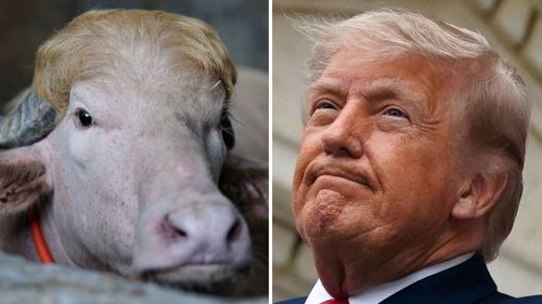 imported-skynews-trump-buffalo_7259833.jpg