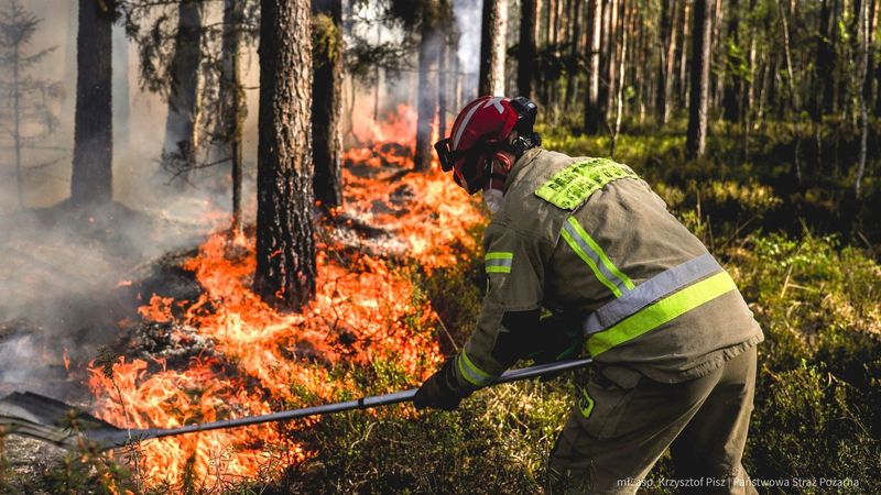 imported-skynews-polansd-poland-wildfires_7240294.jpg