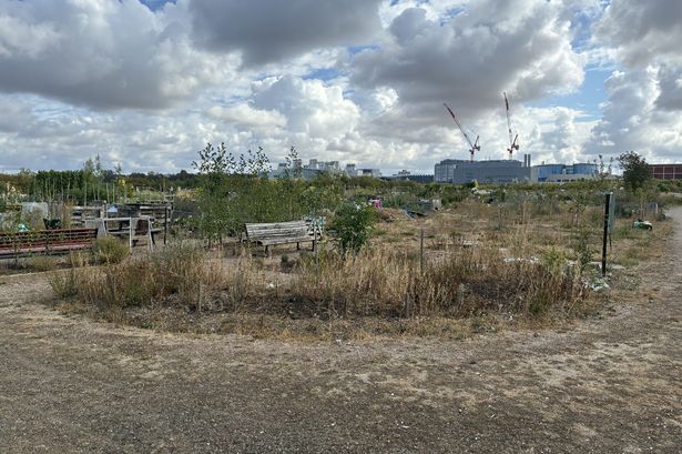 imported-1_Clay-Farm-Allotments-in-Trumpington-Cambridge-IMG_0176.jpg