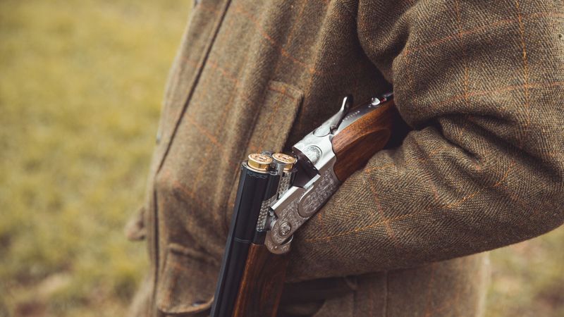 imported-skynews-firearm-rifle_7333298.jpg