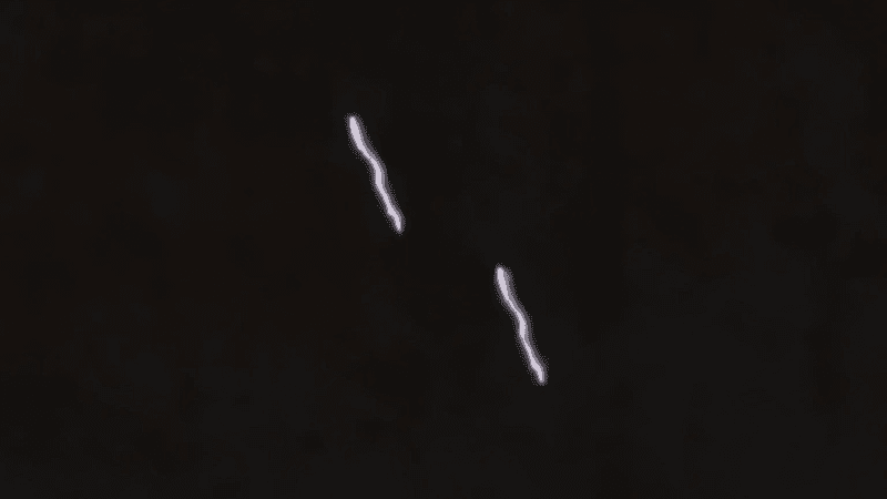 imported-.png