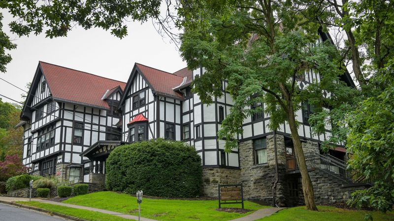 imported-skynews-cornell-university_7363998.jpg