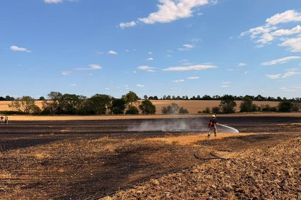 imported-0_Thurning-Wildfire-Northants-1jfif.jpg