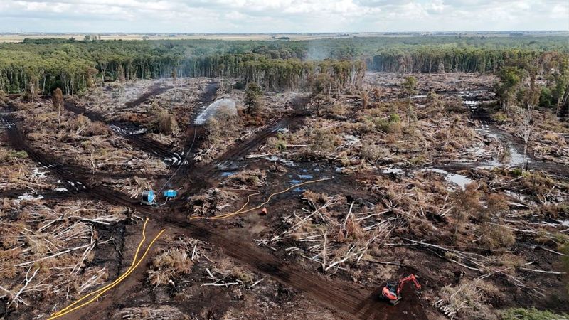 imported-skynews-cambridgeshire-fire_7326008.jpg