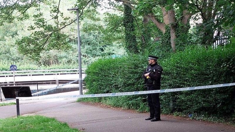 imported-skynews-chelmsford-murder_7272243.jpg