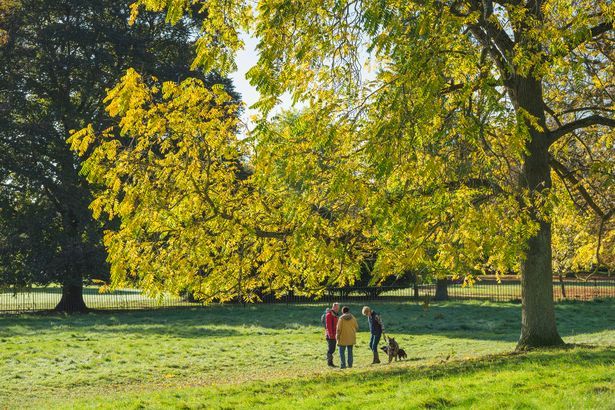 imported-0_arkland-at-Wimpole-credit-National-Trust-Images-James-Dobson.jpg