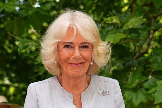 imported-0_Queen-Camilla-Marks-40th-Anniversary-Of-The-Royal-Osteoporosis-Society.jpg