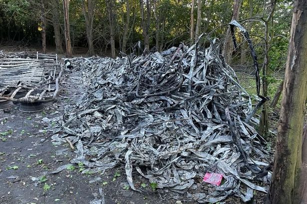 imported-0_Milton-scrap-Andy-Jones-2.jpg