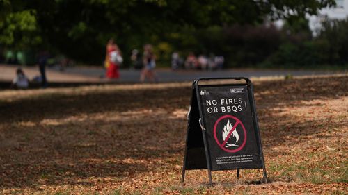 imported-skynews-pa-fires-hot_7327480.jpg
