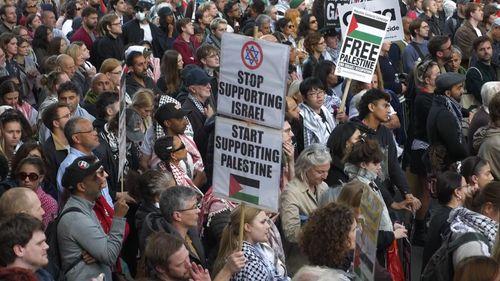 imported-skynews-palestine-palestine-pledge_7170694.jpg