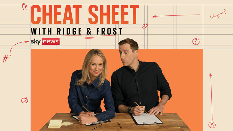 imported-skynews-cheat-sheet-artwork_7245341.png