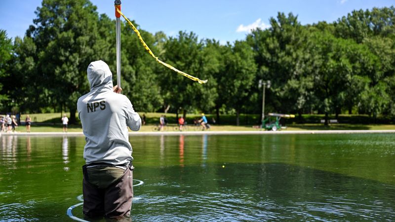 imported-skynews-algae-reflecting-pool_7279095.jpg