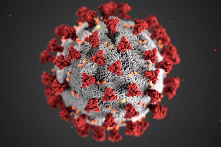 imported-COVID_particle-2d4916.jpg