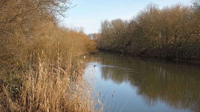imported-skynews-river-lea-london_7324126.jpg