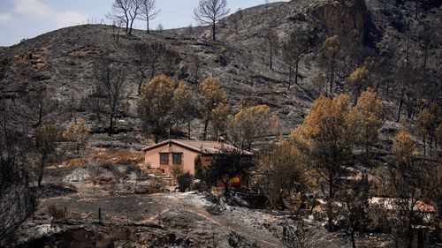 imported-skynews-spain-almeria-wildfires_7296748.jpg