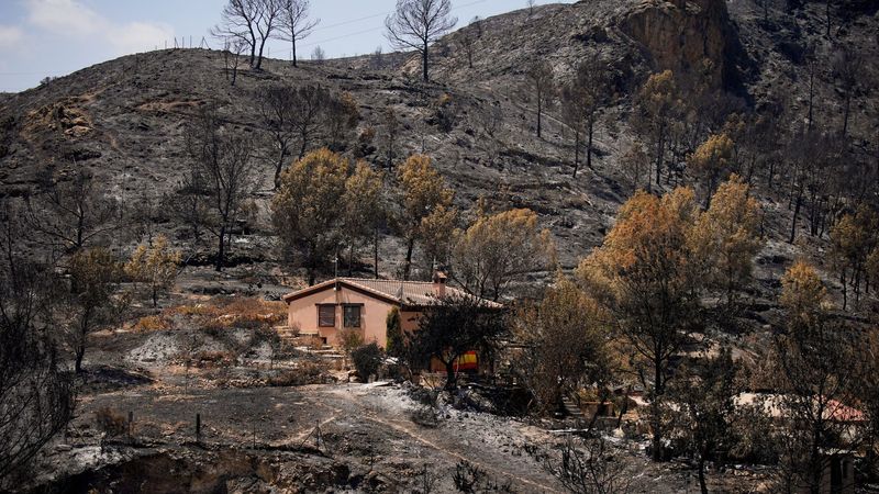 imported-skynews-spain-almeria-wildfires_7296748.jpg