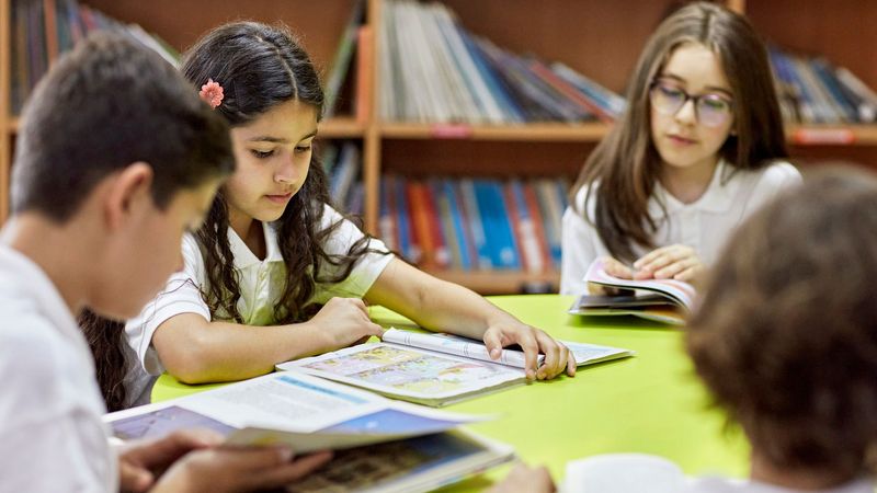 imported-skynews-education-reading-school_7345379.jpg