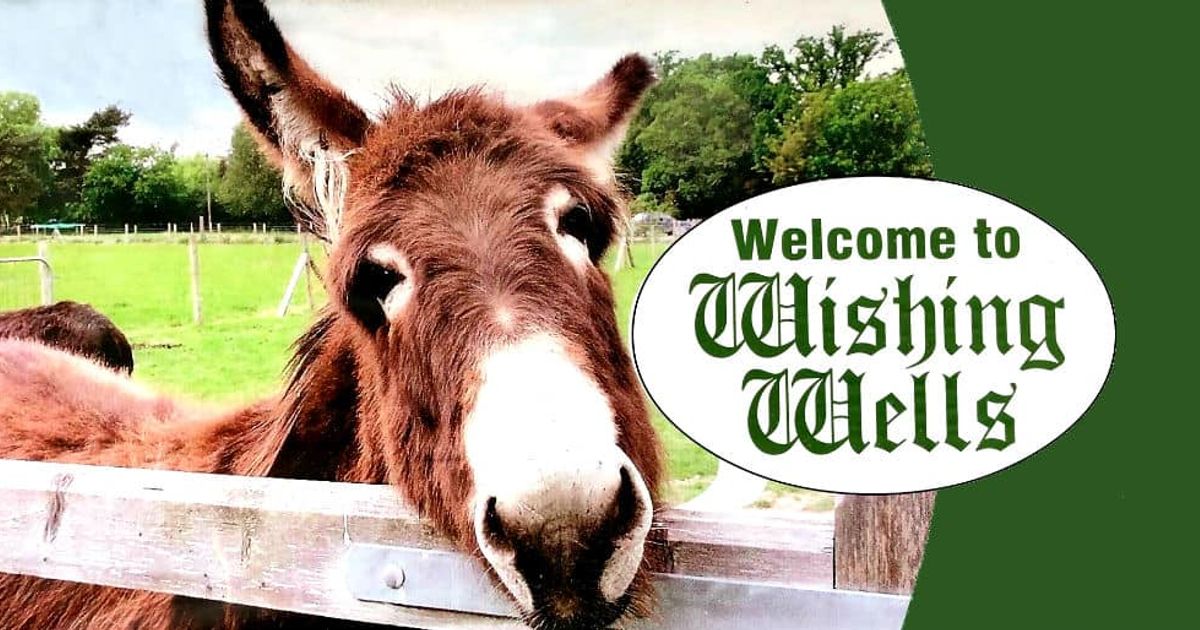 Welcome-to-Wishing-Wells-Farm-Banner.jpg