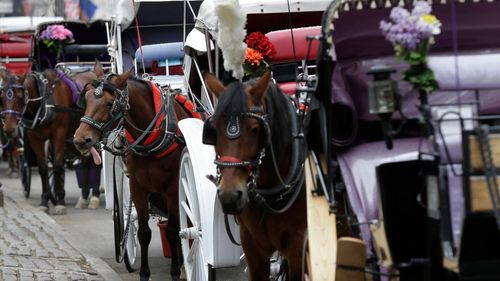 imported-skynews-central-park-horse-drawn-carriage_7276357.jpg