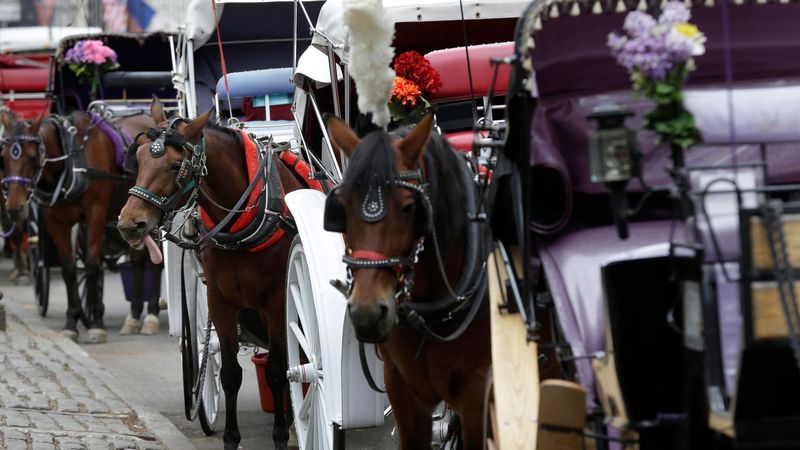 imported-skynews-central-park-horse-drawn-carriage_7276357.jpg