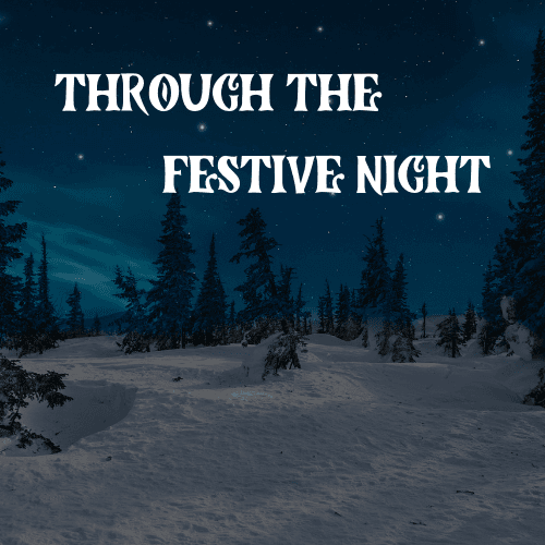 through the festive night.png