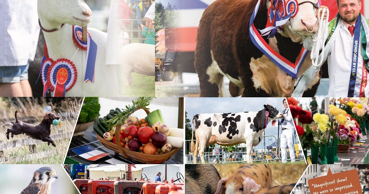 Edenbridge & Oxted Show.jpg