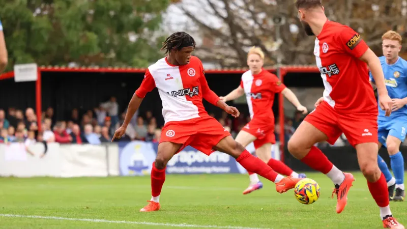 imported-.webp