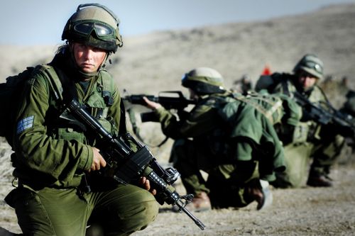 imported-Flickr_-_Israel_Defense_Forces_-_Karakal_Winter_Training-9c9b71.jpg