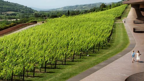 imported-skynews-florence-italy-marchesi-antinori-winery_7372067.jpg