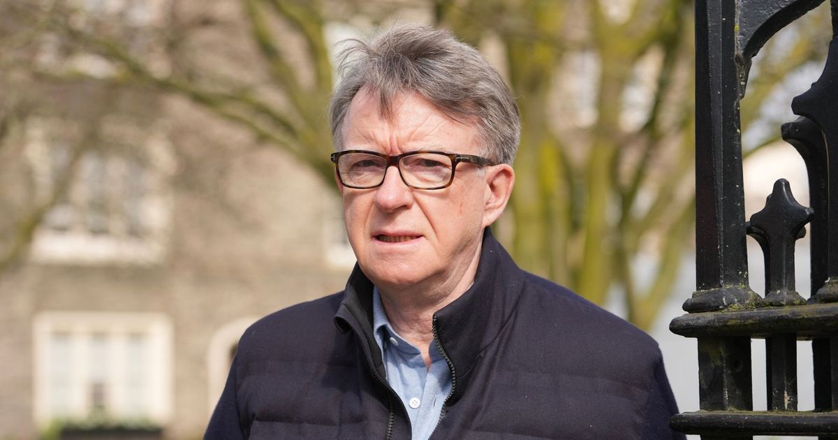 imported-skynews-peter-mandelson-government_7262569.jpg