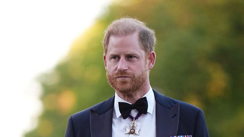 imported-skynews-prince-harry-princess-diana_7371675.jpg