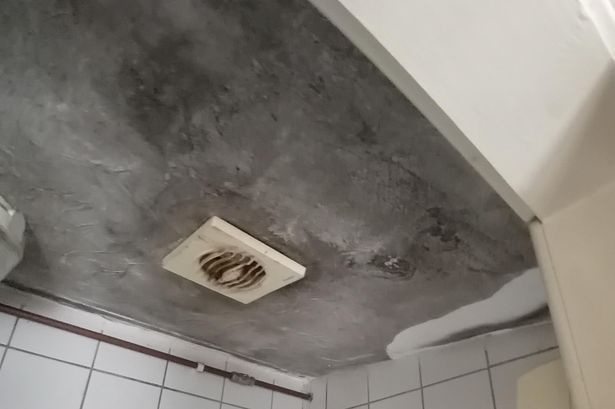 imported-0_Fenland-flat-2.jpg