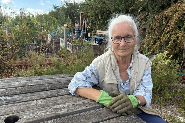 imported-1_er-at-Clay-Farm-Allotments-in-Trumpington-Cambridge-IMG_0182.jpg