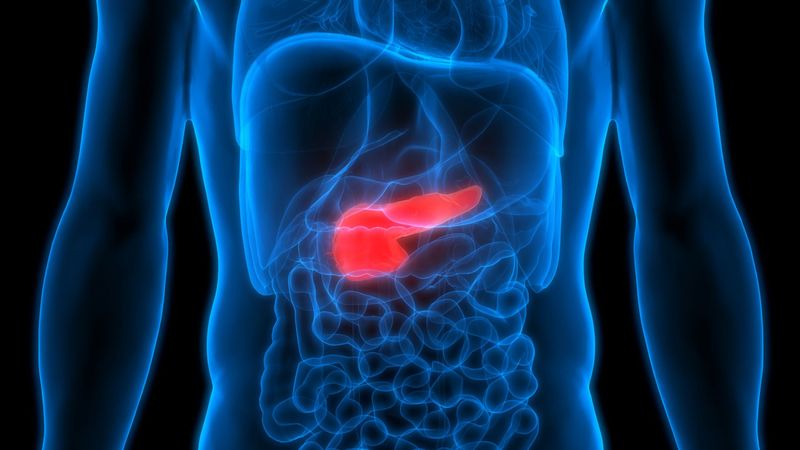 imported-skynews-pancreatic-cancer-pancreas_5699716.jpg