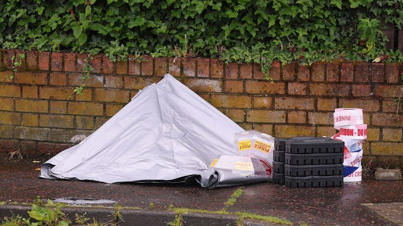 imported-skynews-kinnaird-belfast-northern-ireland_7268948.jpg