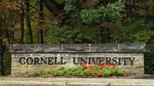 imported-skynews-cornell-university_7364122.jpg