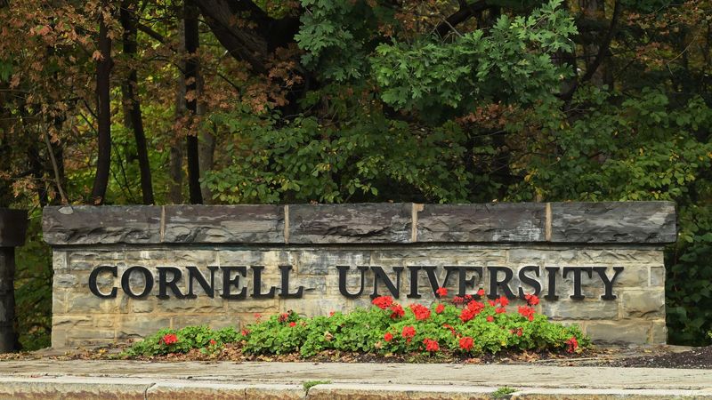 imported-skynews-cornell-university_7364122.jpg